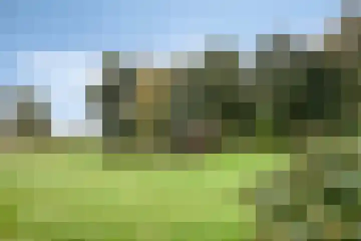 Hoogenweg 60 Venebrugge thumbnail 85