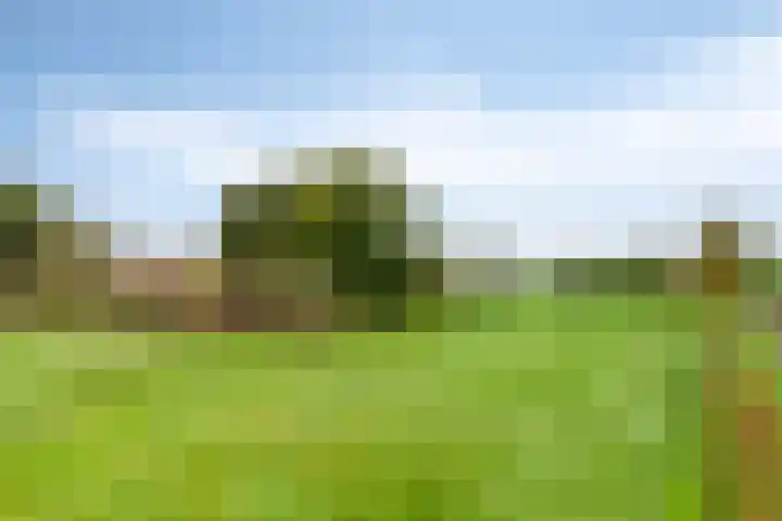 Hoogenweg 60 Venebrugge thumbnail 88