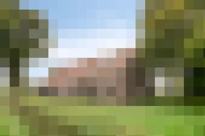 Hoogenweg 60 Venebrugge thumbnail 90