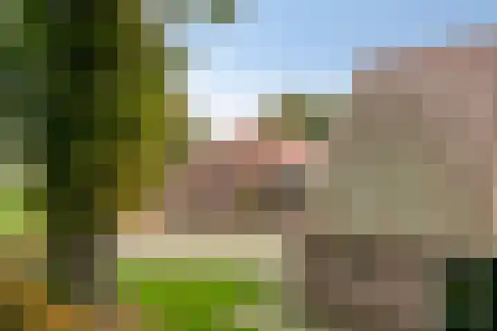 Hoogenweg 60 Venebrugge thumbnail 91