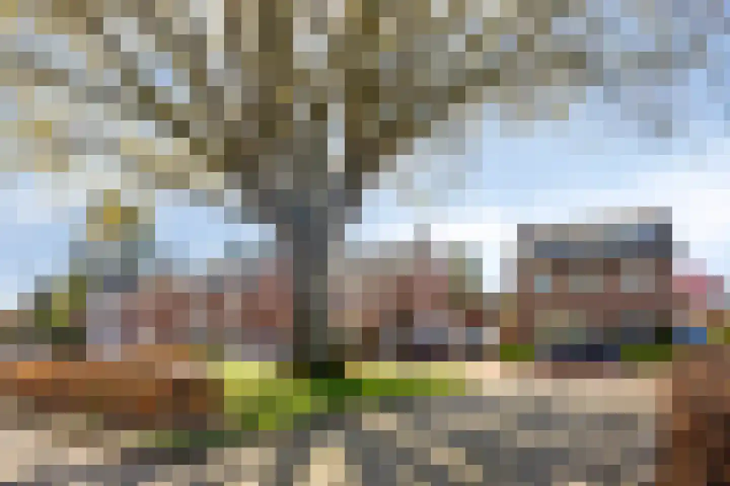 Hoogepat 10 Veldhoven thumbnail 30