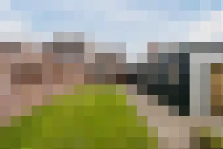 Hoogepat 27 Veldhoven thumbnail 27