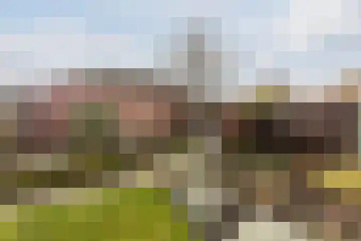 Hoogepat 27 Veldhoven thumbnail 28