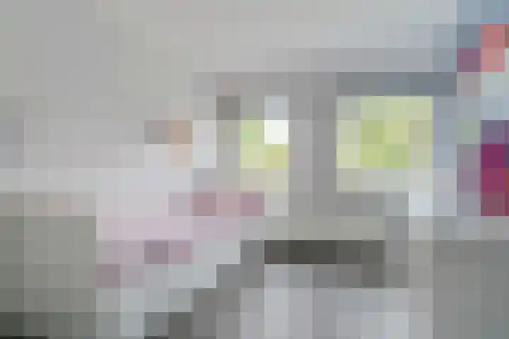 Hoogepat 29 Veldhoven thumbnail 24