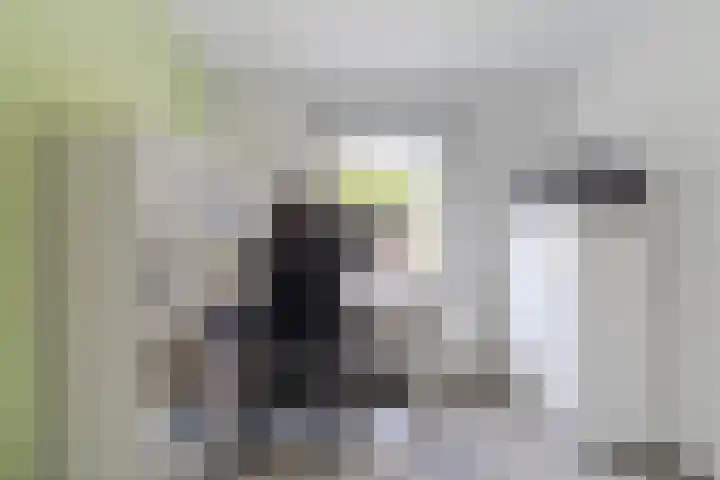 Hoogepat 29 Veldhoven thumbnail 26