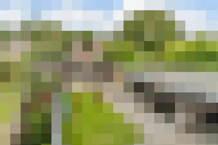 Hoogepat 29 Veldhoven thumbnail 41