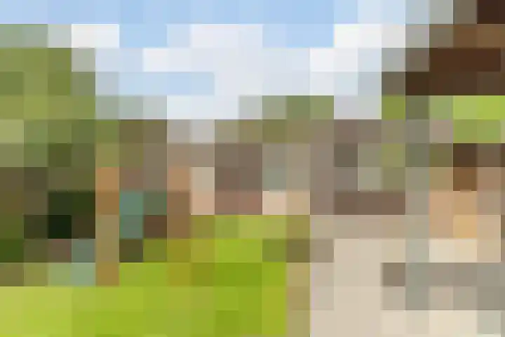 Hoogepat 29 Veldhoven thumbnail 45