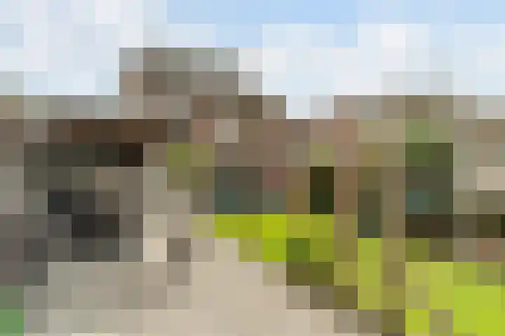 Hoogepat 29 Veldhoven thumbnail 47