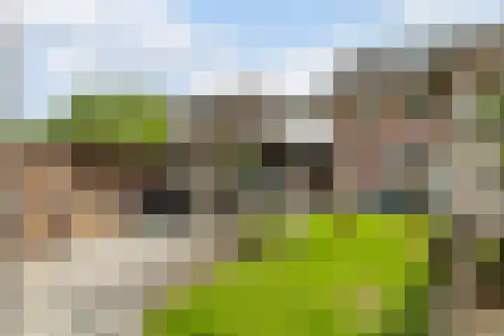 Hoogepat 29 Veldhoven thumbnail 48