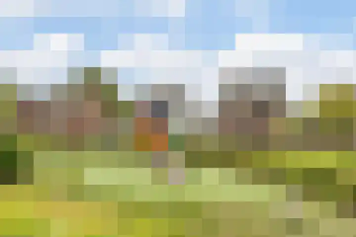Hoogepat 29 Veldhoven thumbnail 55