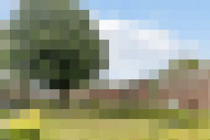 Hoogepat 29 Veldhoven thumbnail 56