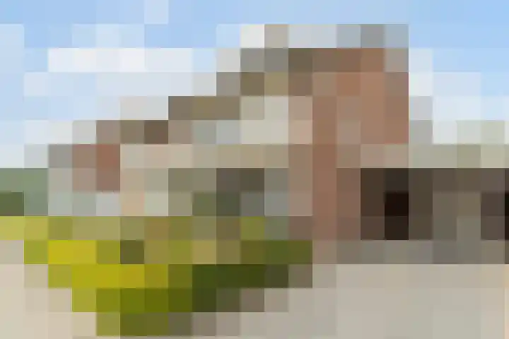 Hoogepat 29 Veldhoven thumbnail 7