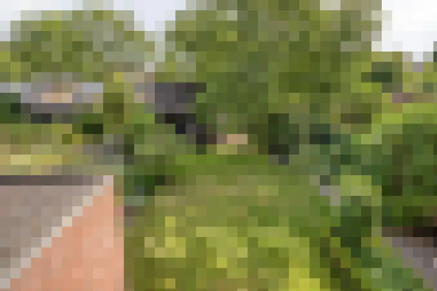 Hoogepat 8 Veldhoven thumbnail 30