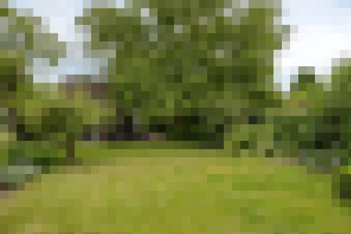 Hoogepat 8 Veldhoven thumbnail 32
