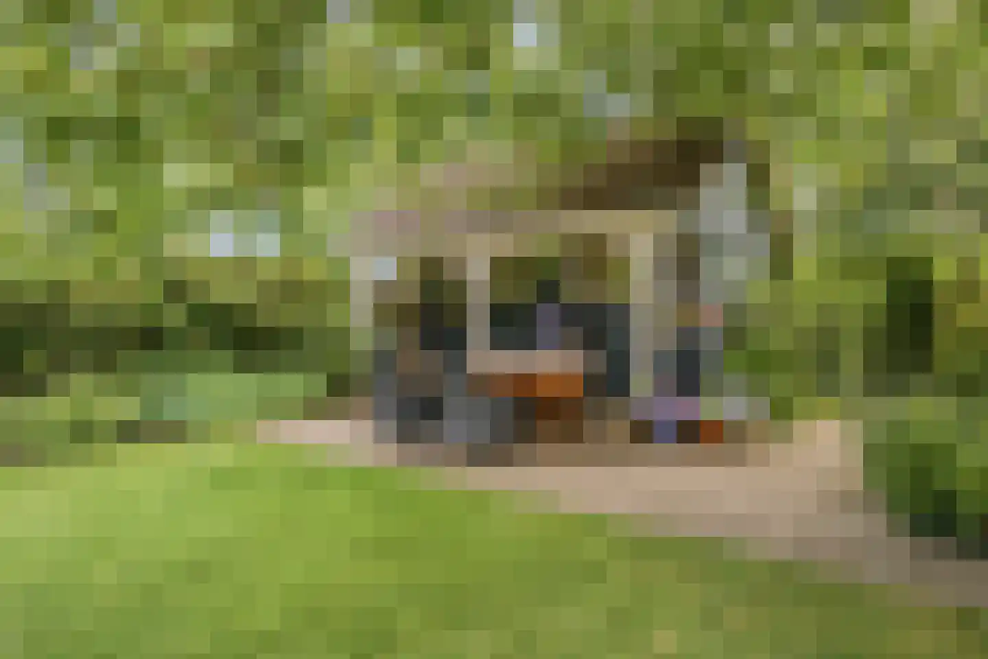 Hoogepat 8 Veldhoven thumbnail 33