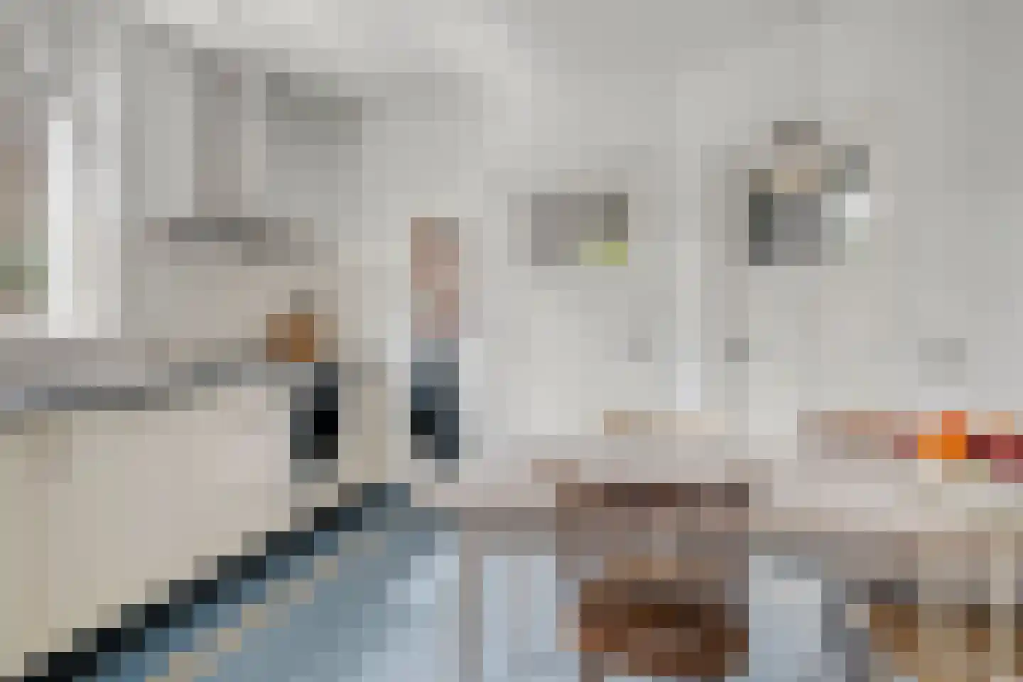 Hoogepat 8 Veldhoven thumbnail 8