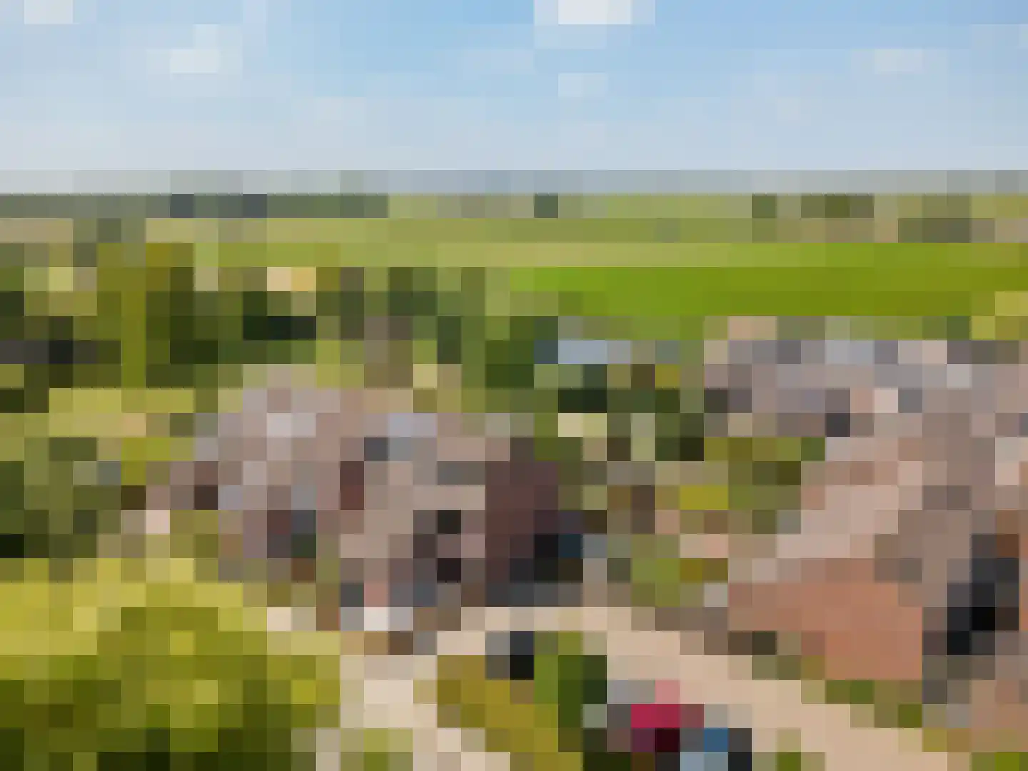 Hoogerheijdestraat 34 Ter Aar thumbnail 33