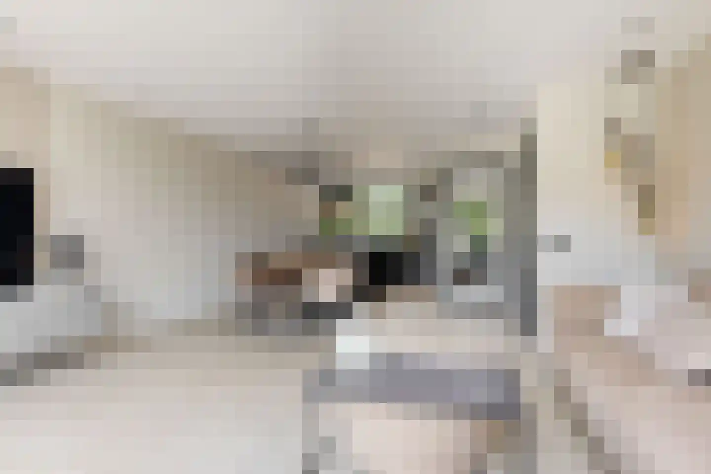 Hoogerheijdestraat 34 Ter Aar thumbnail 8