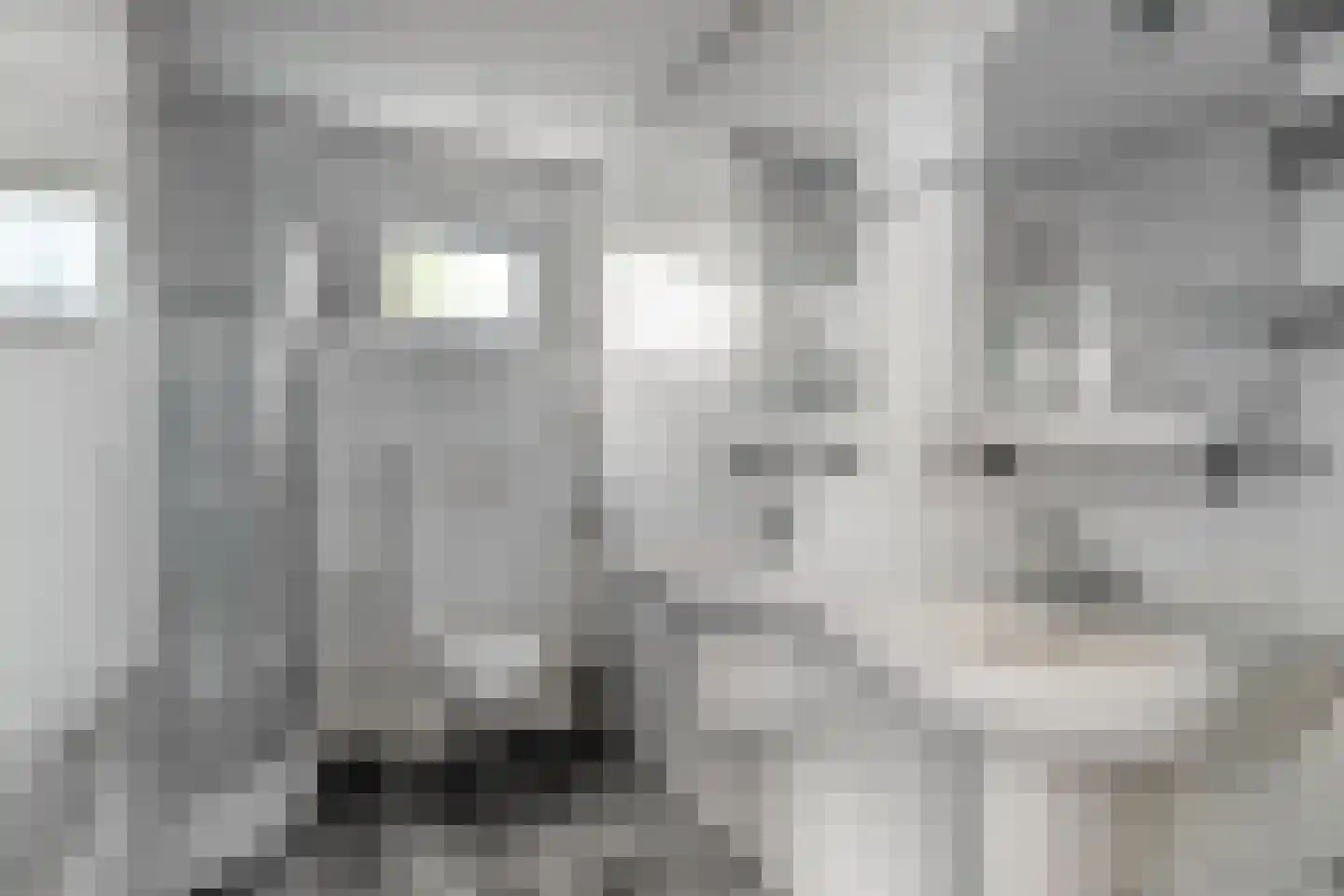Hoogerwerfsweg "De elf Boompjes" 14 Bruinisse thumbnail 12