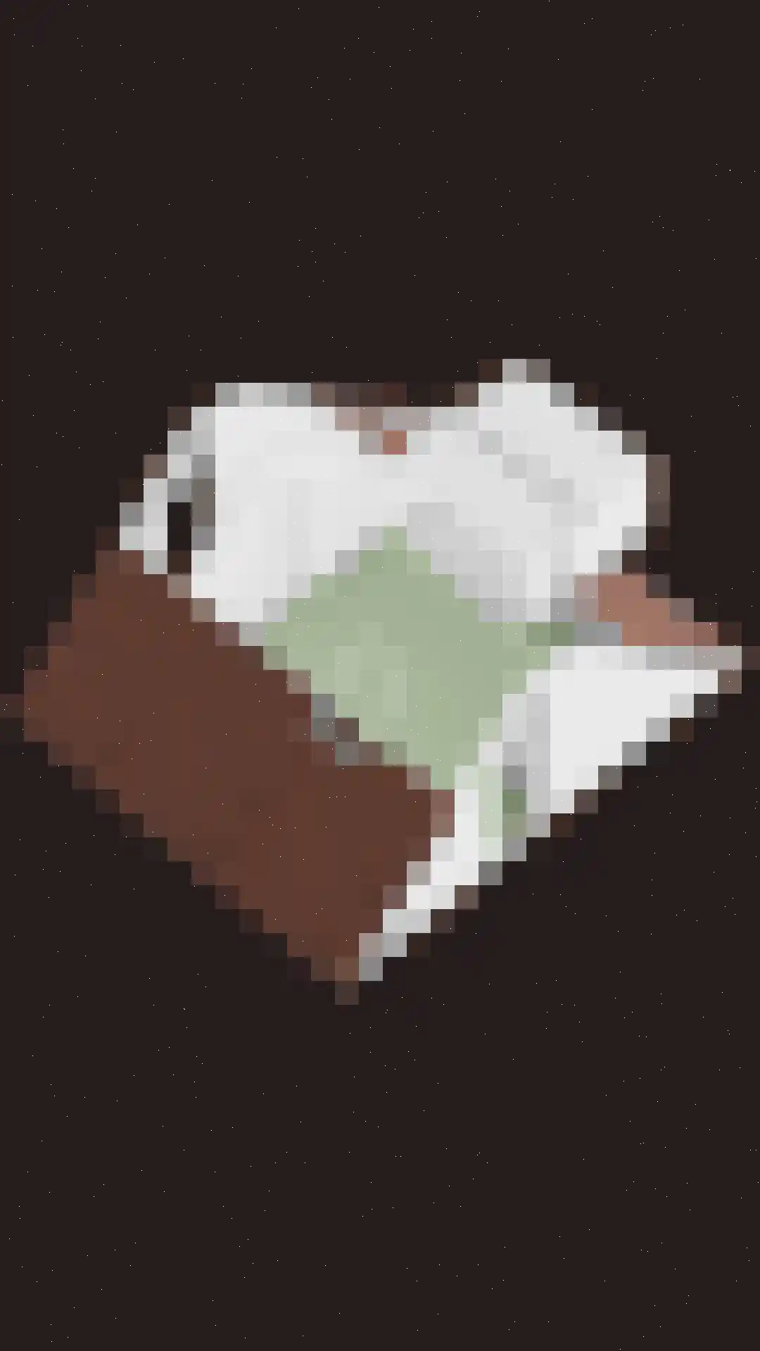 Hoogerwerfsweg "De elf Boompjes" 14 Bruinisse thumbnail 28
