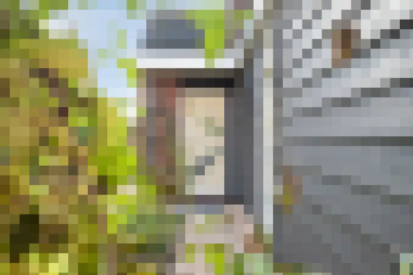 Hoogerwerfsweg "De elf Boompjes" 14 Bruinisse thumbnail 5