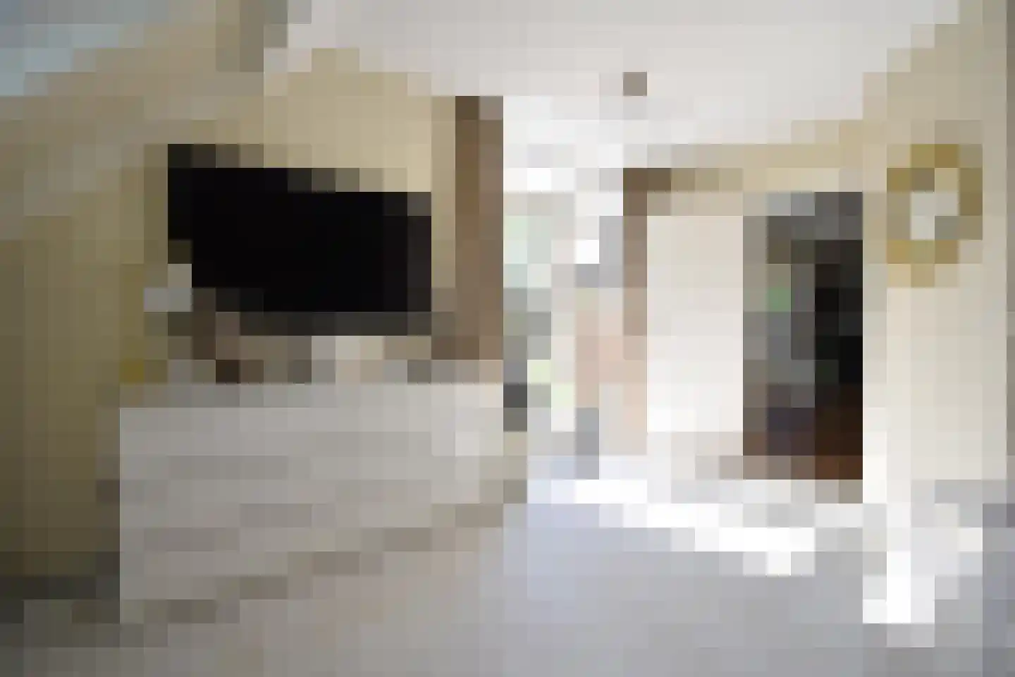 Hoogerwerfsweg "De elf Boompjes" 15 Bruinisse thumbnail 14