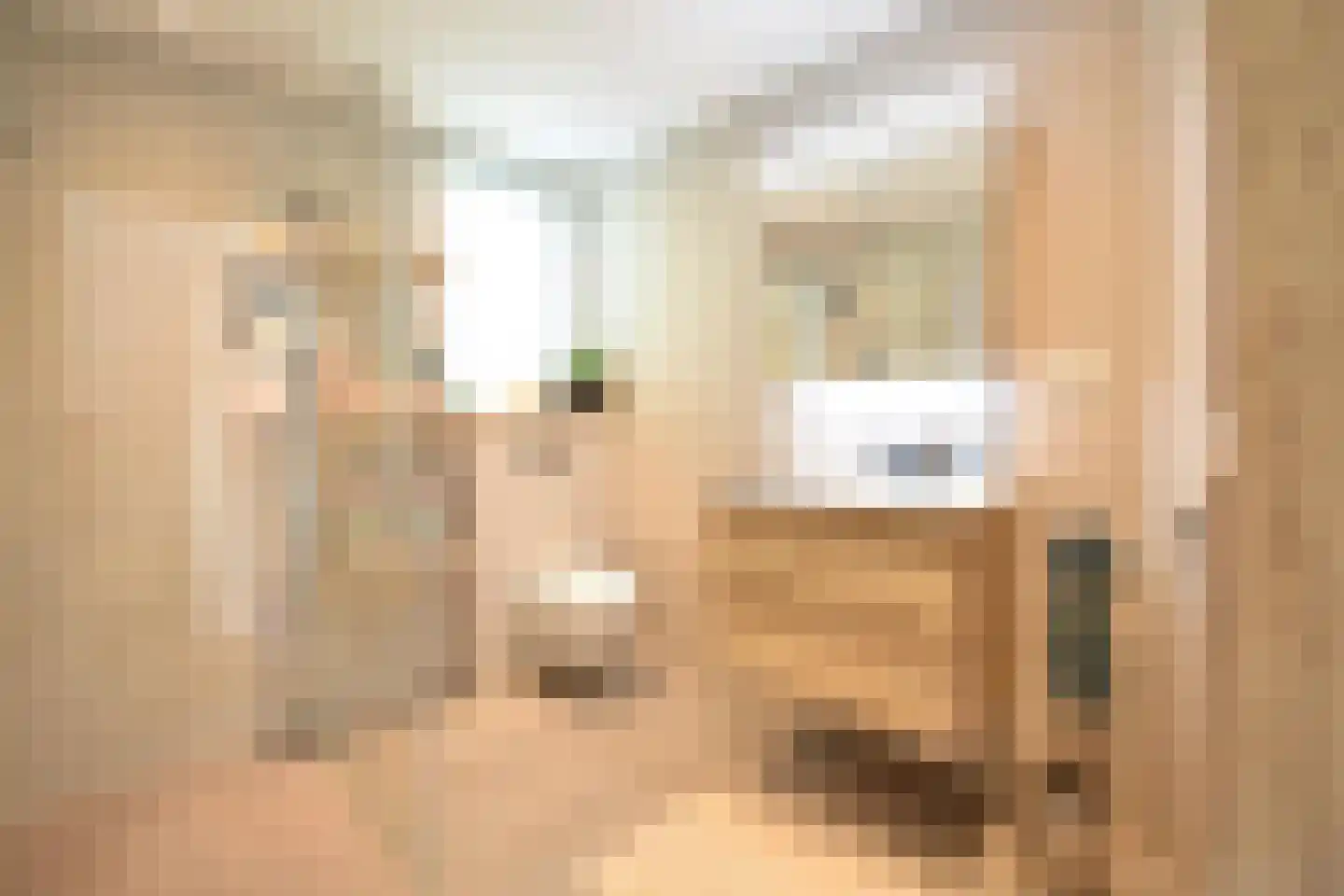 Hoogerwerfsweg "De elf Boompjes" 15 Bruinisse thumbnail 15