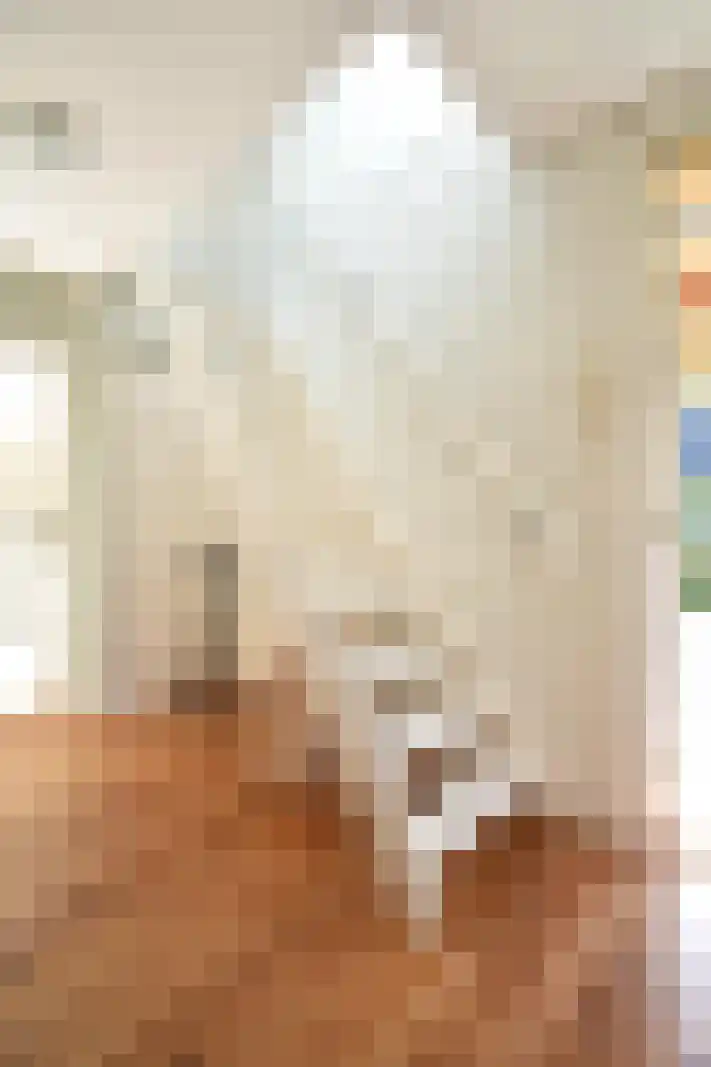 Hoogerwerfsweg "De elf Boompjes" 15 Bruinisse thumbnail 19
