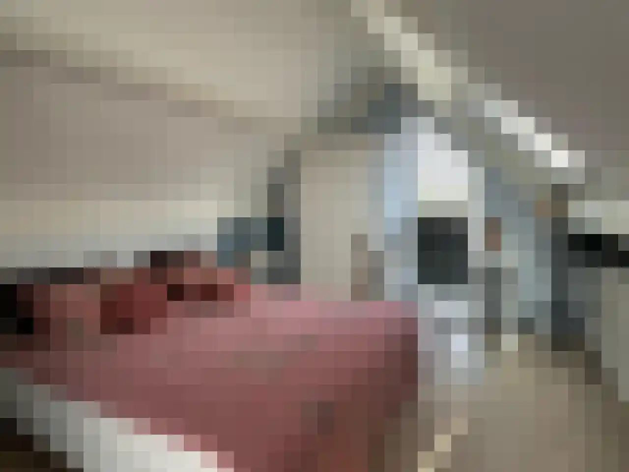 Hoogerwerfsweg "De elf Boompjes" 15 Bruinisse thumbnail 20