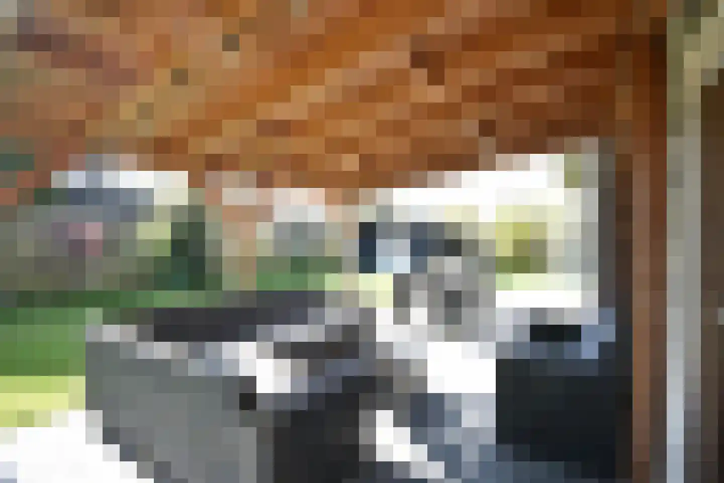 Hoogerwerfsweg "De elf Boompjes" 15 Bruinisse thumbnail 29