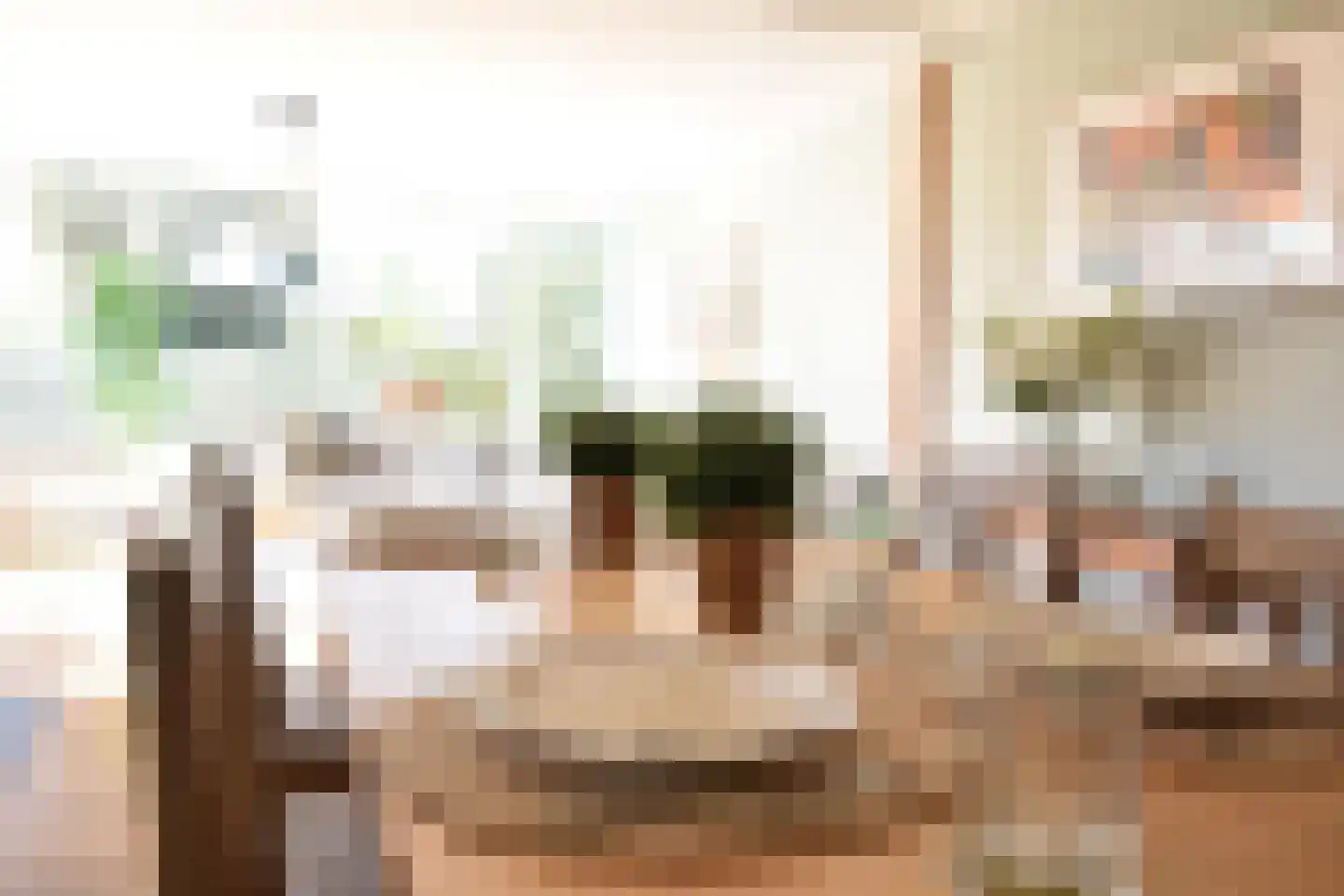 Hoogerwerfsweg "De elf Boompjes" 15 Bruinisse thumbnail 8