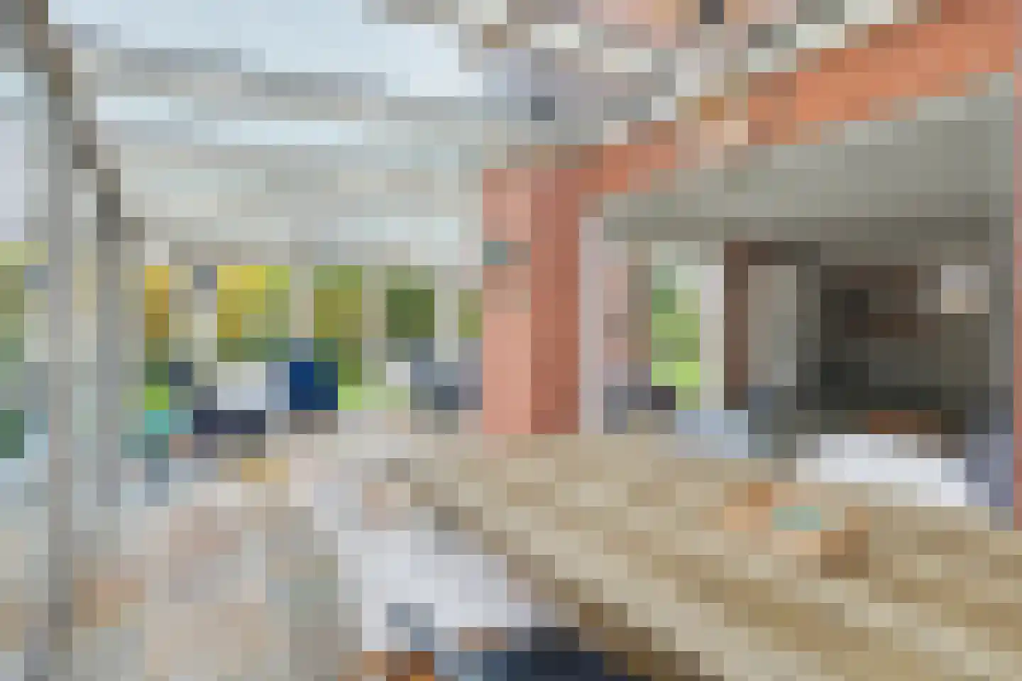 Hoogerwerfsweg "De elf Boompjes" 19 Bruinisse thumbnail 13