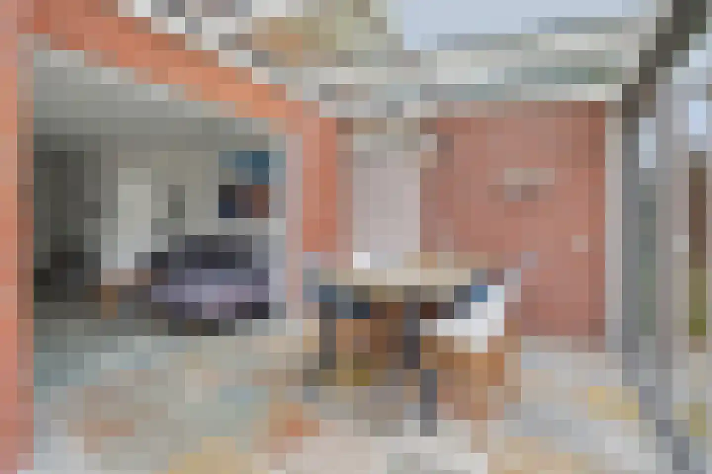 Hoogerwerfsweg "De elf Boompjes" 19 Bruinisse thumbnail 15