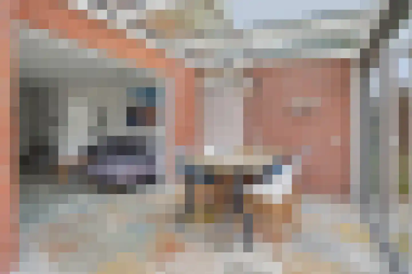Hoogerwerfsweg "De elf Boompjes" 19 Bruinisse thumbnail 15