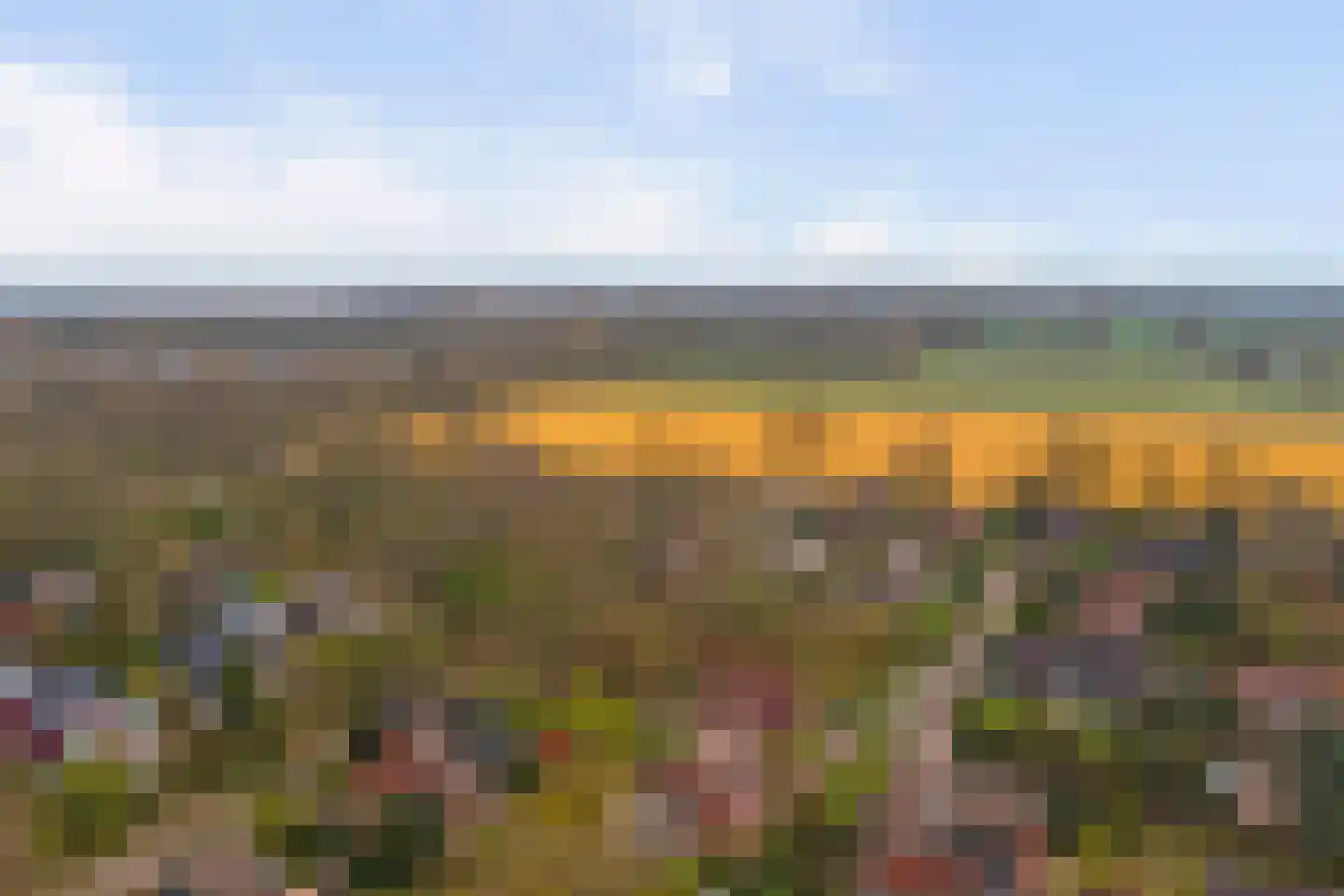 Hoogerwerfsweg "De elf Boompjes" 19 Bruinisse foto 3