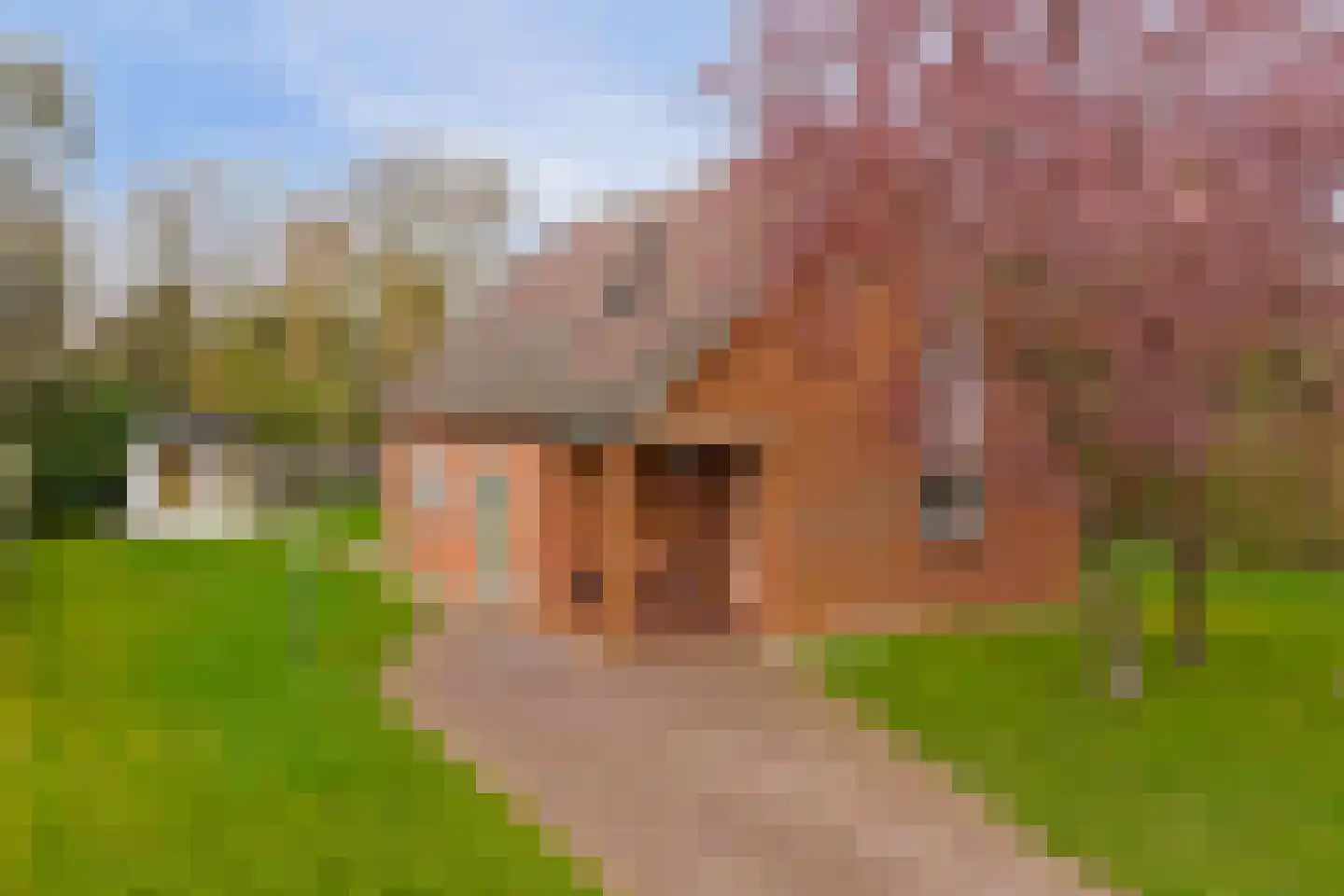 Hoogerwerfsweg "De elf Boompjes" 19 Bruinisse thumbnail 30