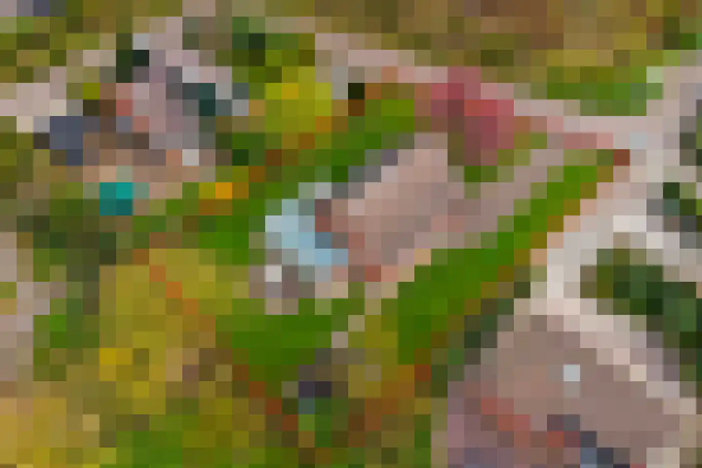 Hoogerwerfsweg "De elf Boompjes" 19 Bruinisse thumbnail 32
