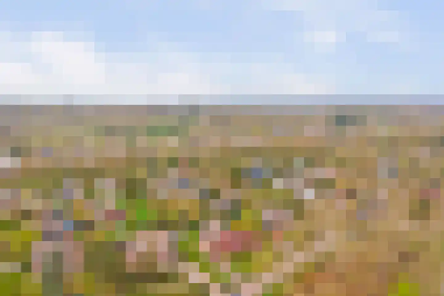 Hoogerwerfsweg "De elf Boompjes" 19 Bruinisse thumbnail 33