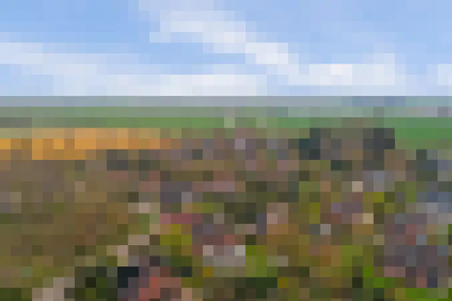 Hoogerwerfsweg "De elf Boompjes" 19 Bruinisse thumbnail 34