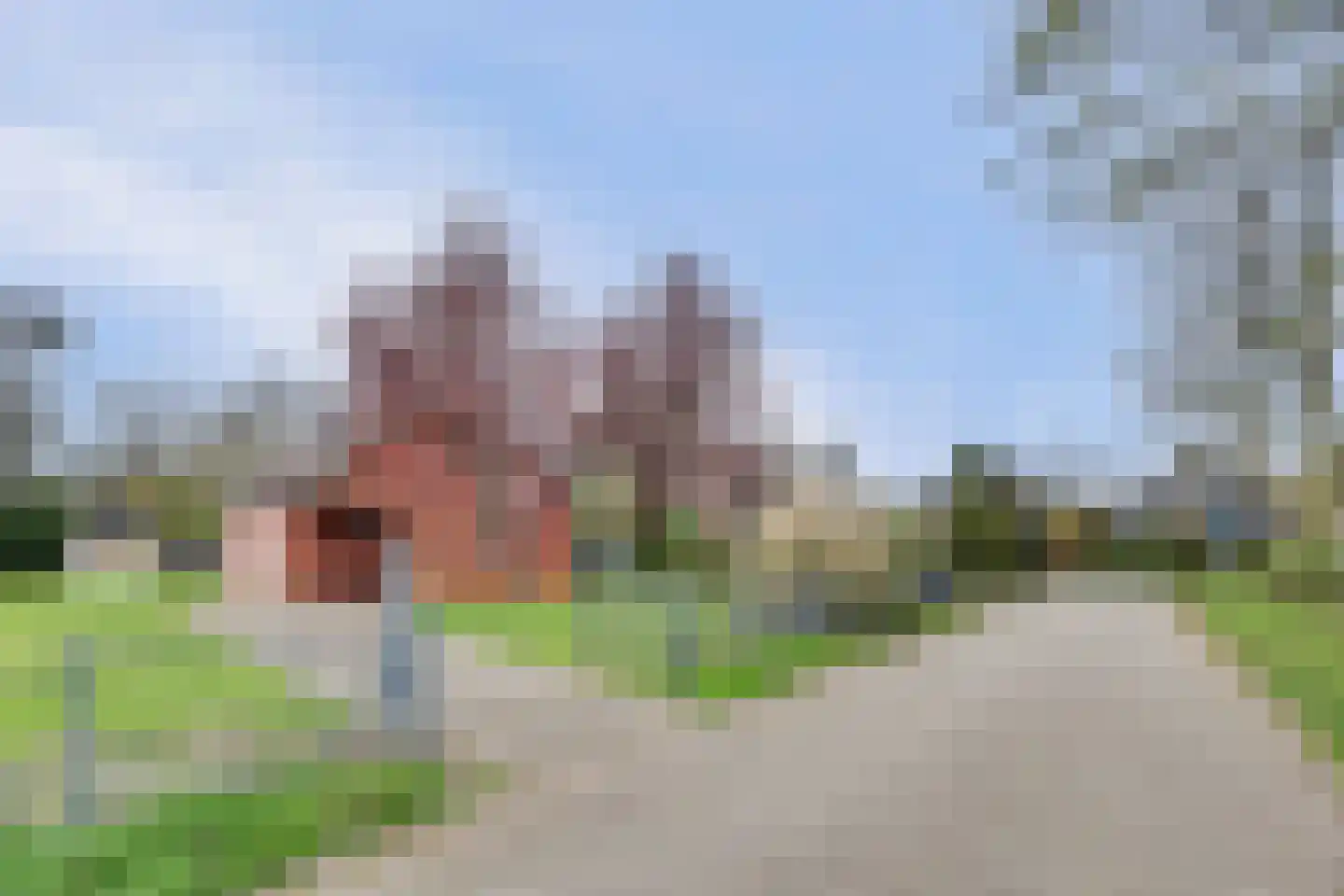 Hoogerwerfsweg "De elf Boompjes" 19 Bruinisse thumbnail 6