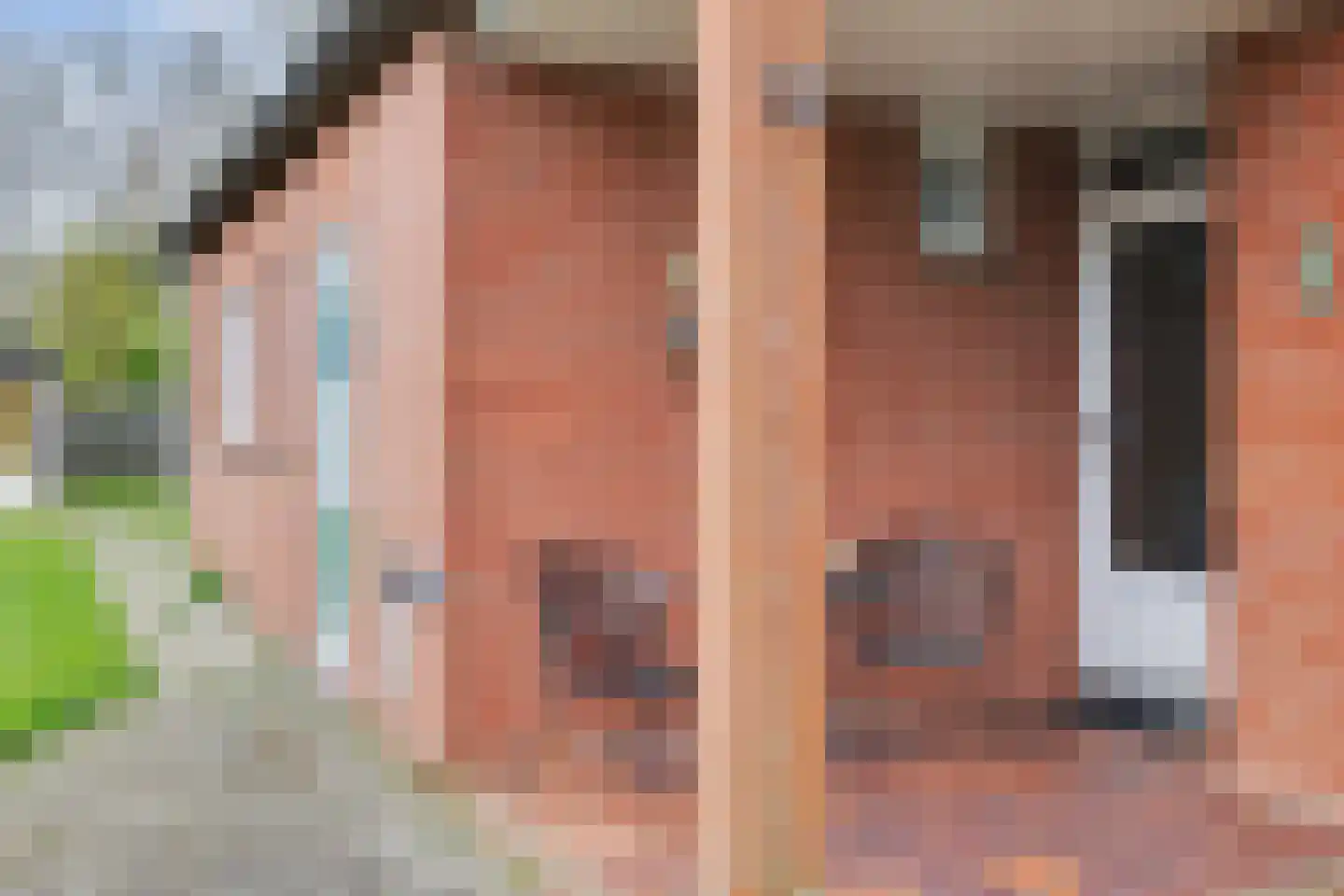 Hoogerwerfsweg "De elf Boompjes" 19 Bruinisse thumbnail 7