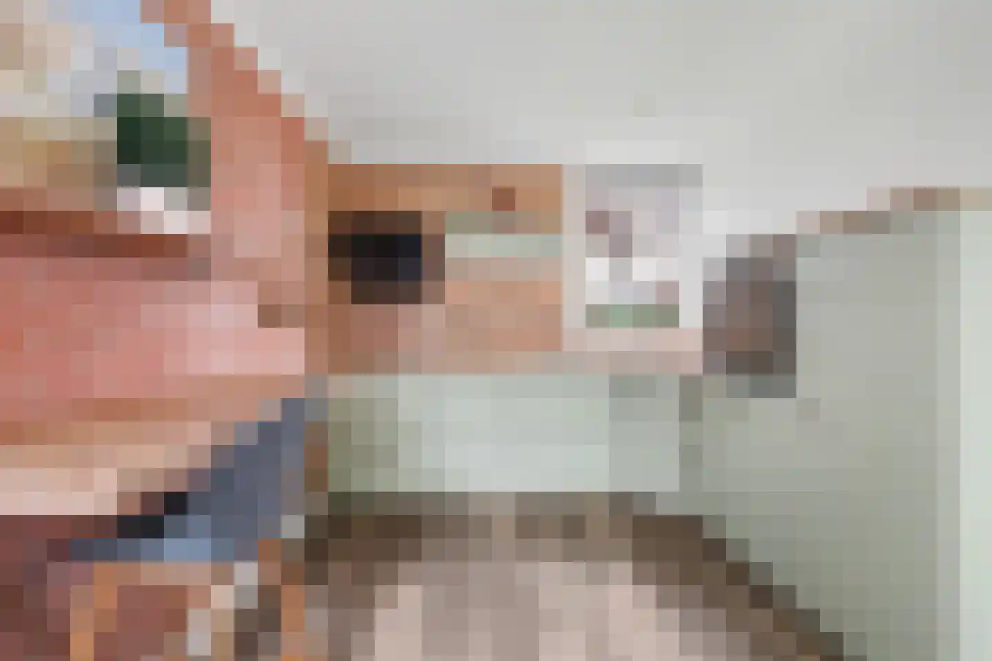 Hoogerwerfsweg "De elf Boompjes" 19 Bruinisse thumbnail 9