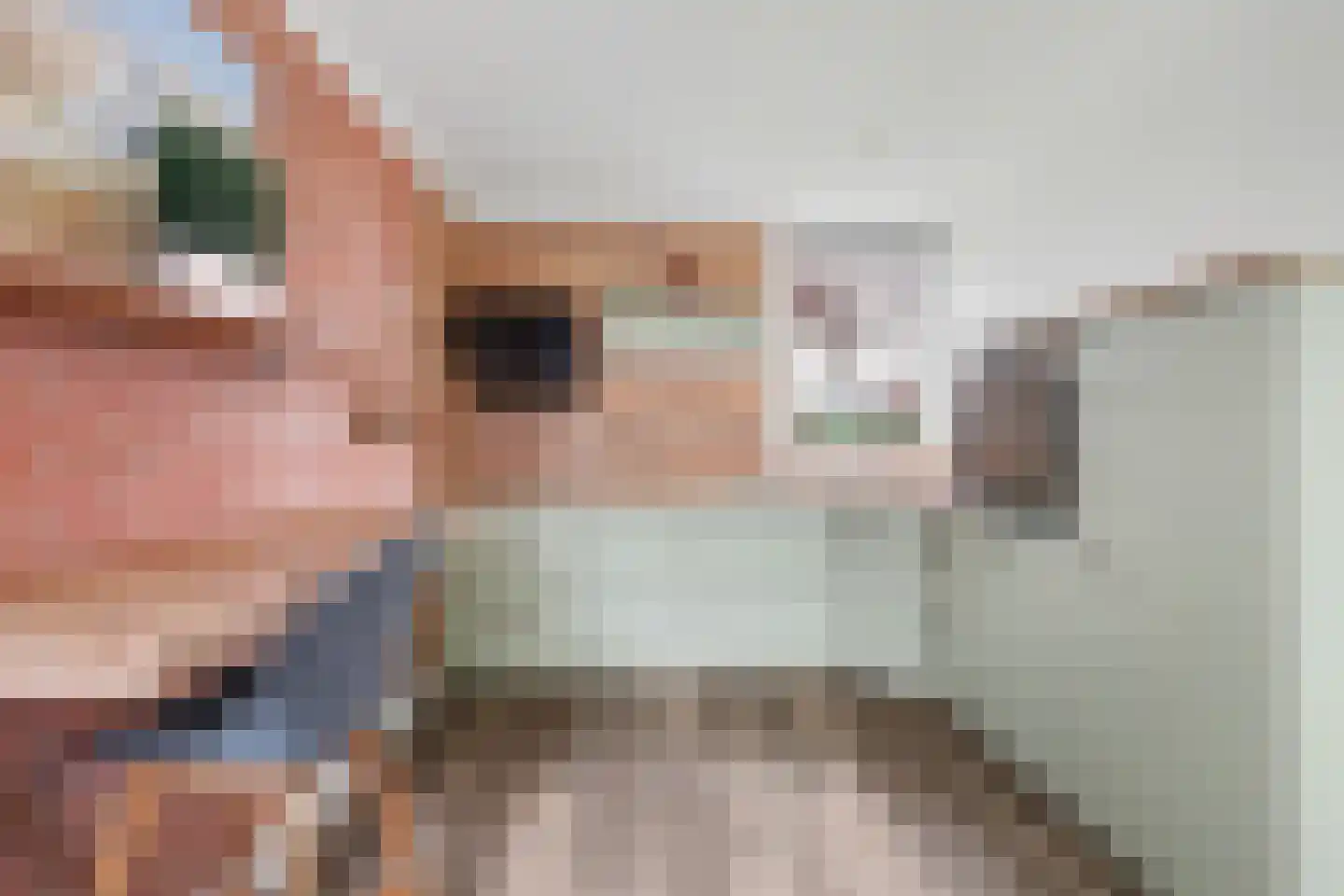 Hoogerwerfsweg "De elf Boompjes" 19 Bruinisse thumbnail 9