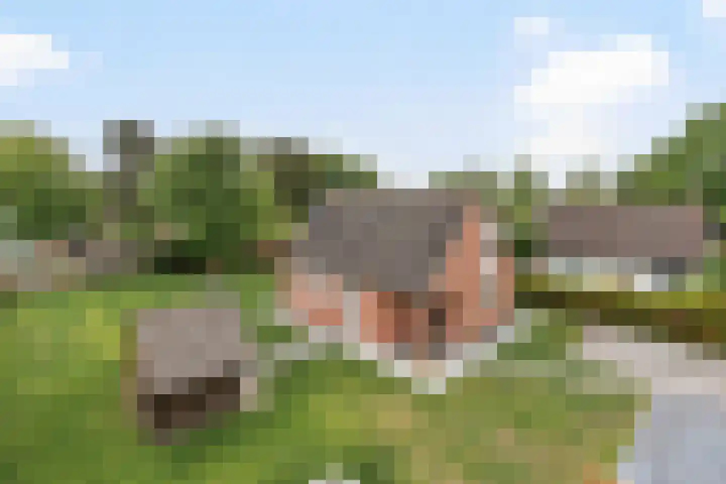 Hoogerwerfsweg "De elf Boompjes" 38 Bruinisse foto 2