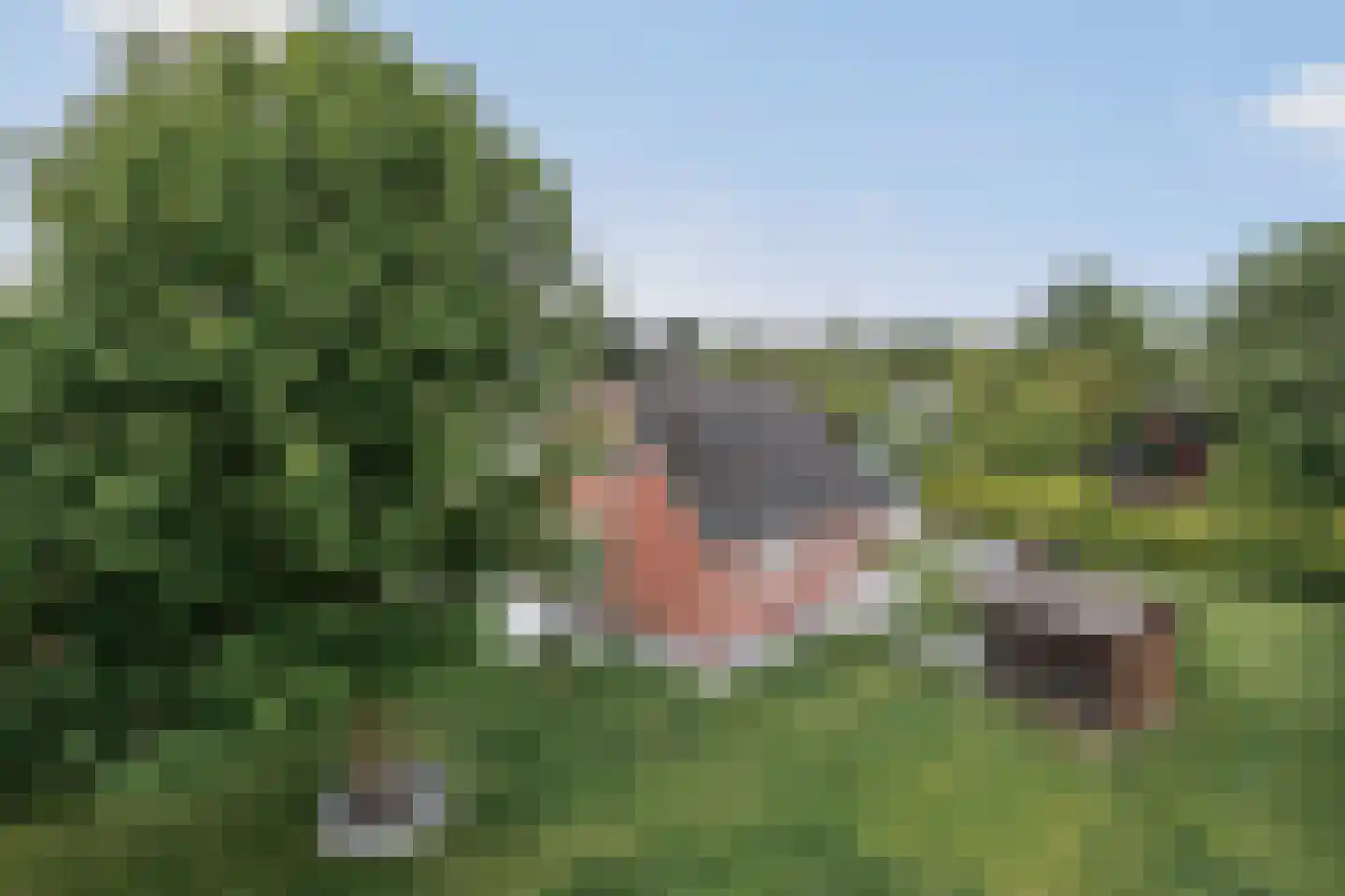 Hoogerwerfsweg "De elf Boompjes" 38 Bruinisse thumbnail 26