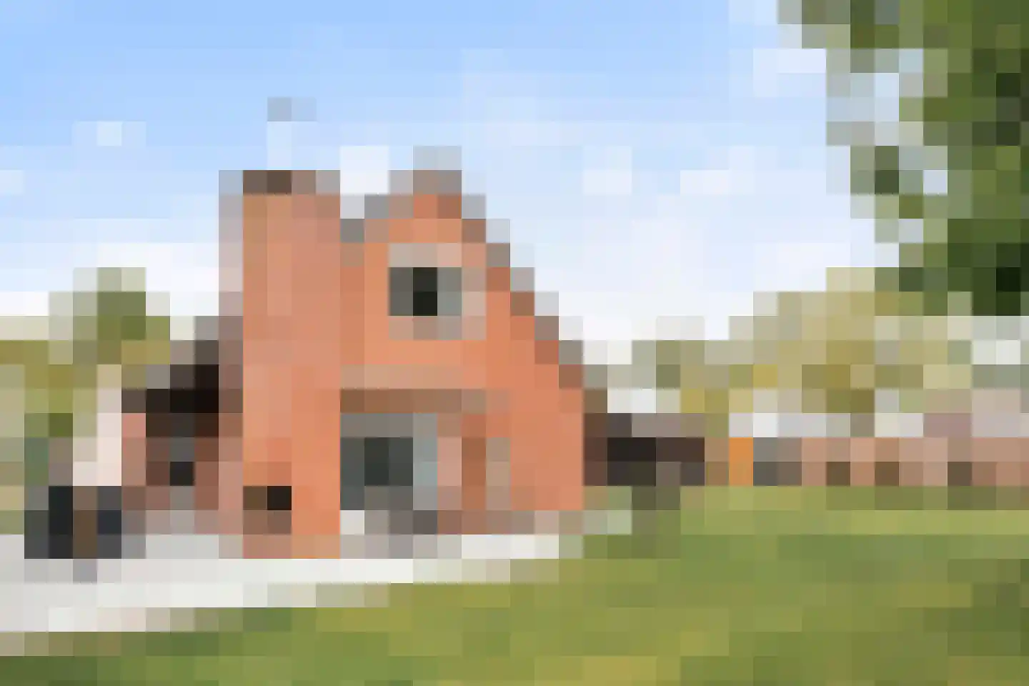 Hoogerwerfsweg "De elf Boompjes" 38 Bruinisse foto 3