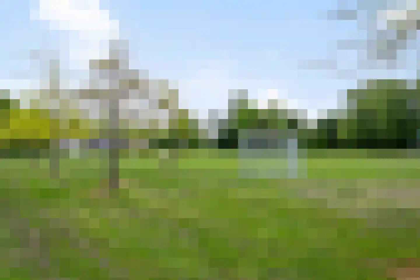 Hoogerwerfsweg "De elf Boompjes" 38 Bruinisse thumbnail 30