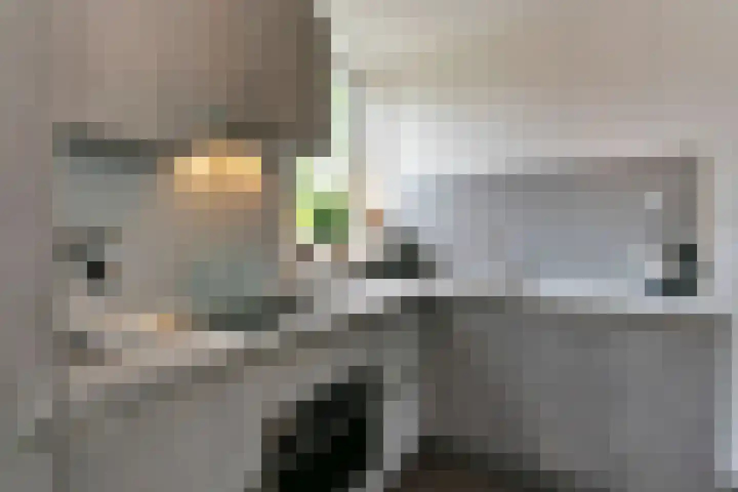 Hoogerwerfsweg "De elf Boompjes" 38 Bruinisse thumbnail 5