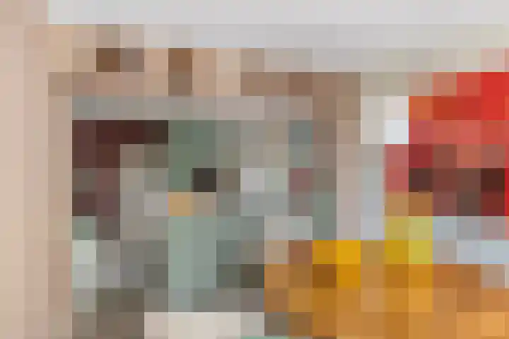 Hoogerwerfsweg "De elf Boompjes" 58 Bruinisse thumbnail 12