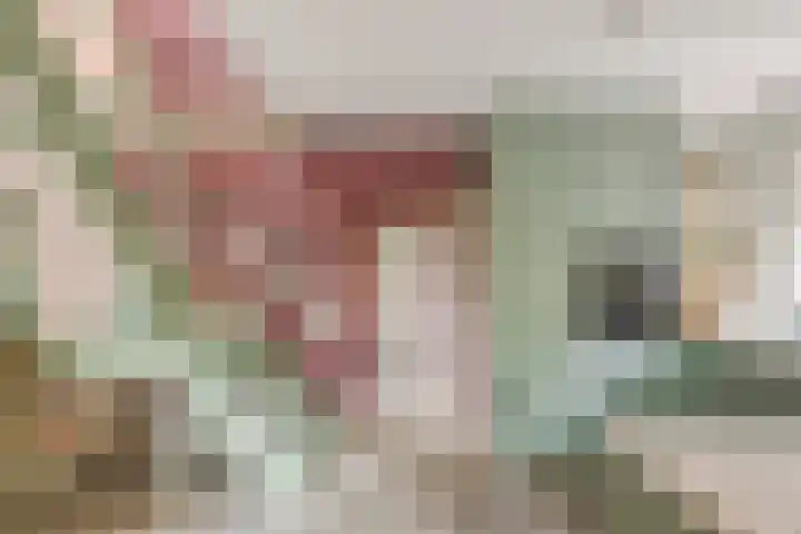 Hoogerwerfsweg "De elf Boompjes" 58 Bruinisse thumbnail 13